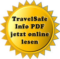 Paladin TravelSafe Travel Security